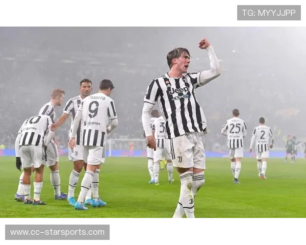 弗拉霍维奇：尤文图斯锋霸，塞尔维亚前锋，弗拉霍维奇集锦