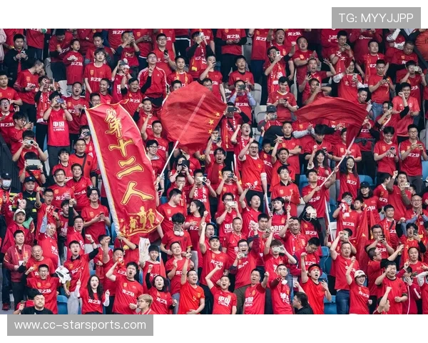 球队历史赛季对比分析,球队历史战绩 球队历史赛季对比分析,球队历史战绩