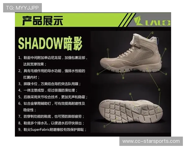 职业战队的战术保密等级